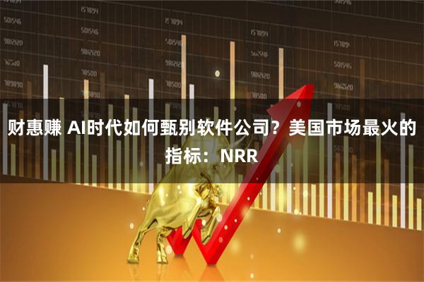 财惠赚 AI时代如何甄别软件公司？美国市场最火的指标：NRR